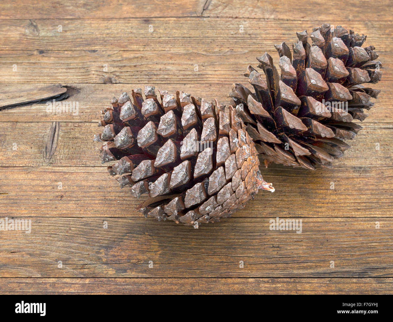 Pigne sul vecchio tavolo. Dal pino ad ombrello. Foto Stock