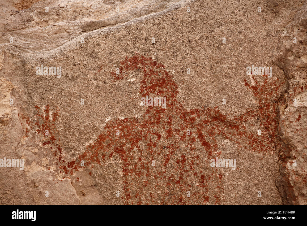 Pr5419-D. incisioni rupestri e le pitture rupestri di Santa Marta, che raffigurano persone, animali (cervi, conigli, pesce, più). Baja, Messico. Foto Stock