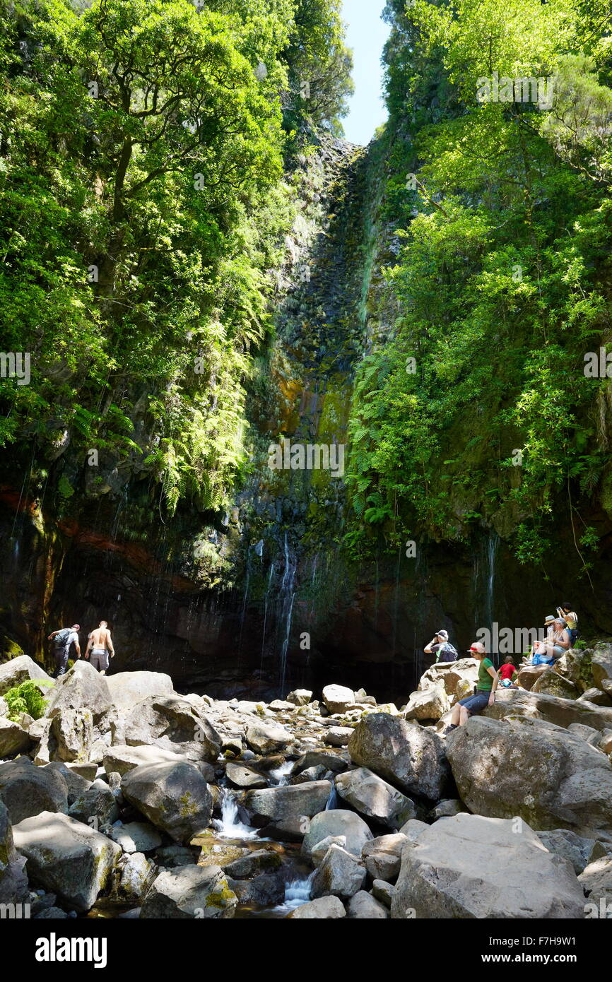 I turisti in appoggio al Levada 25 fontane, Rabacal, Isola di Madeira, Portogallo Foto Stock