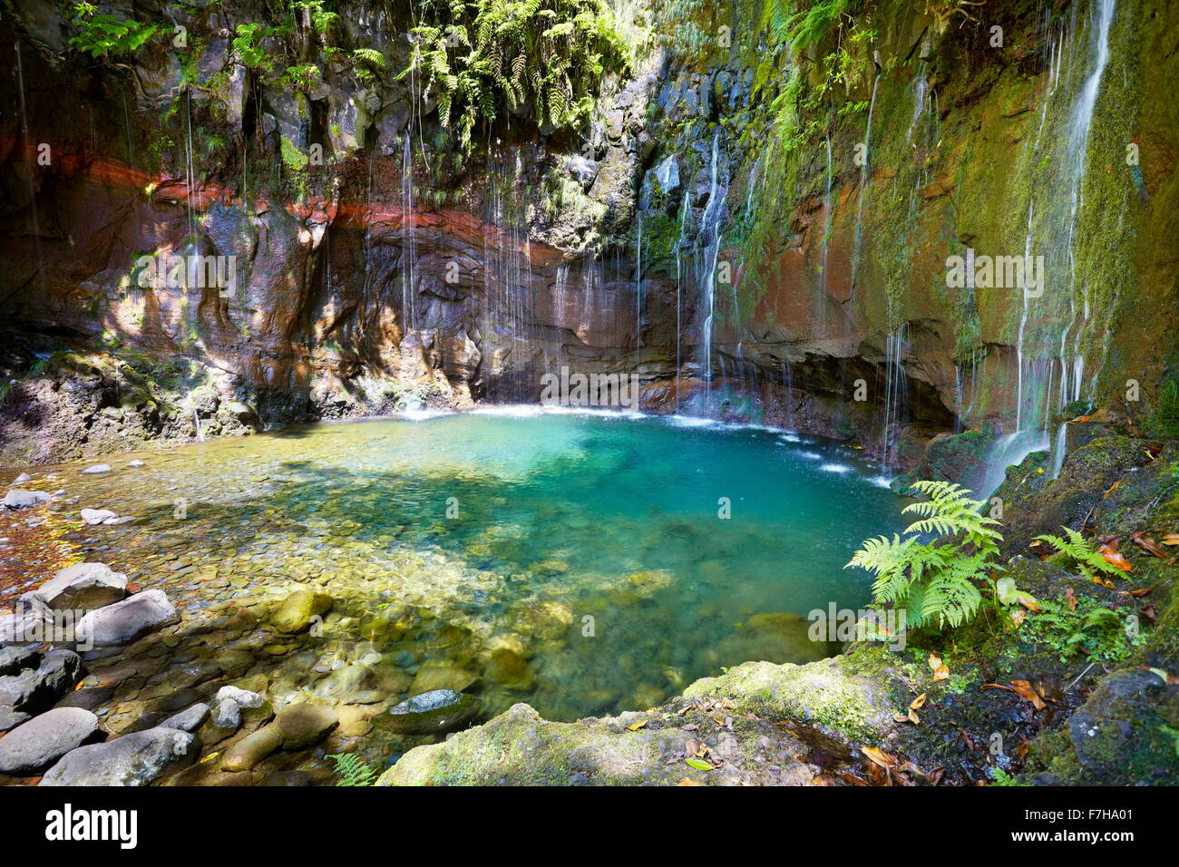 Levada 25 fontane, Rabacal, Isola di Madeira, Portogallo Foto Stock