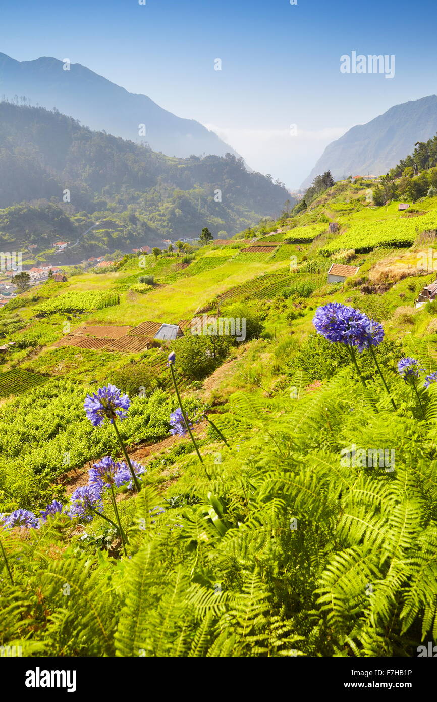 Vista del paesaggio vicino a Sao Vicente, Isola di Madeira, Portogallo Foto Stock