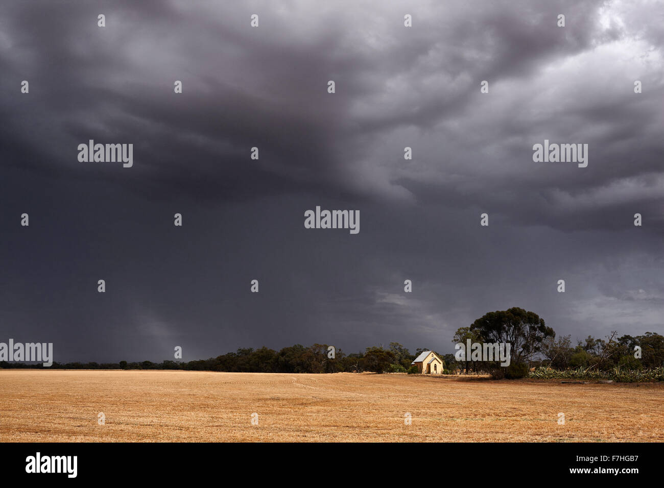 Tempesta estiva si muove su raccolte di raccolto di cereali. Foto Stock