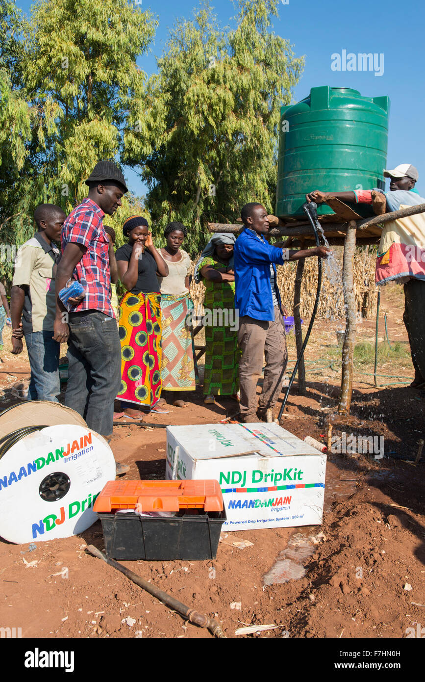 Il Malawi, villaggio Zingiziwa, installazione di irrigazione di gocciolamento sistema di piccola scala agricoltore Foto Stock