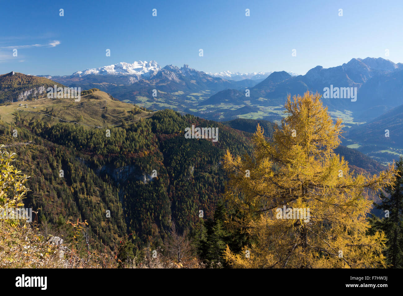 Un autunno vista dal monte Trattberg guardando in direzione del monte Dachstein nella contea di Salisburgo, Austria Foto Stock