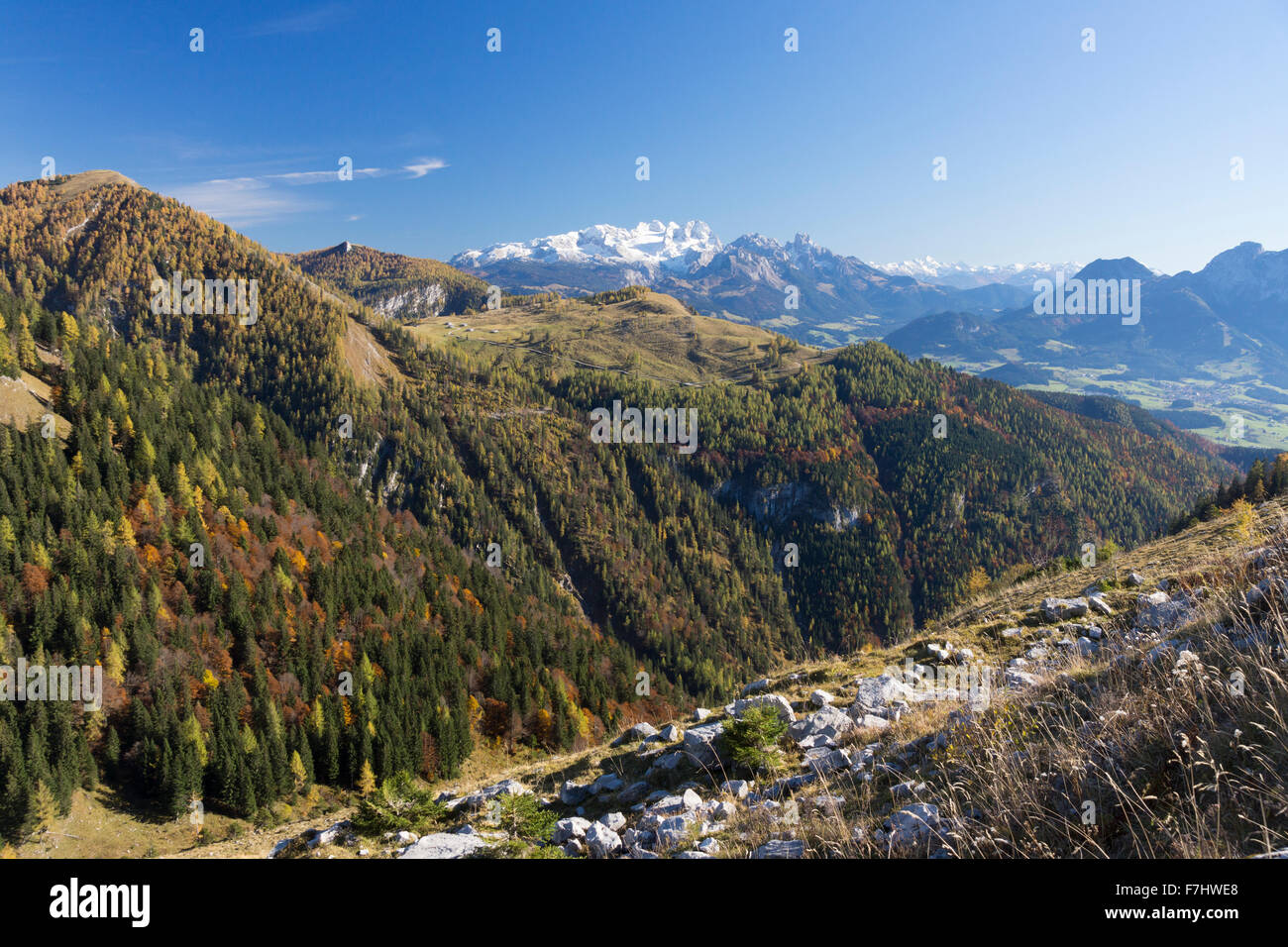 Un autunno vista dal monte Trattberg guardando in direzione del monte Dachstein nella contea di Salisburgo, Austria Foto Stock