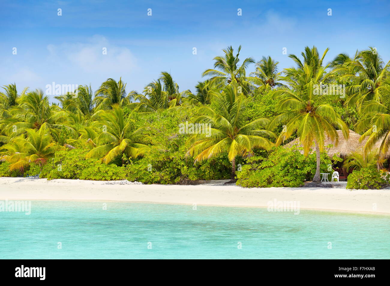 Isole Maldive, atollo di Ari Foto Stock