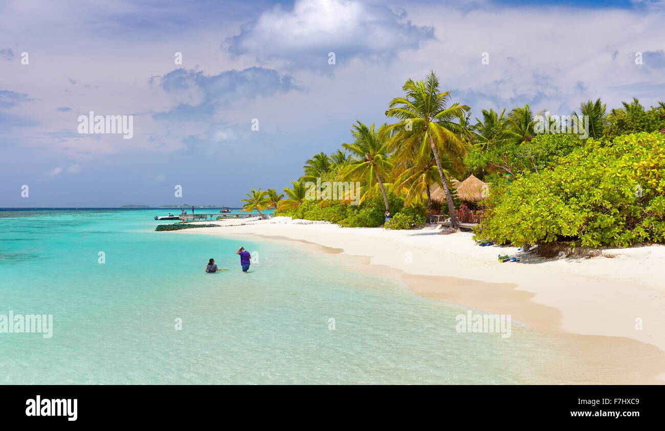 Isole Maldive, spiaggia tropicale a atollo di Ari Foto Stock