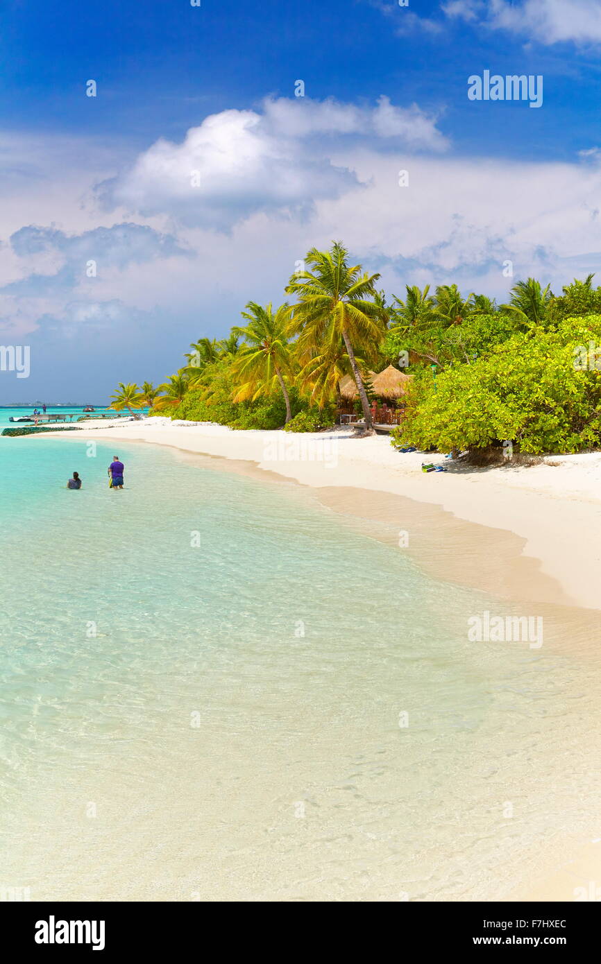 Isole delle Maldive, spiaggia tropicale a atollo di Ari Foto Stock