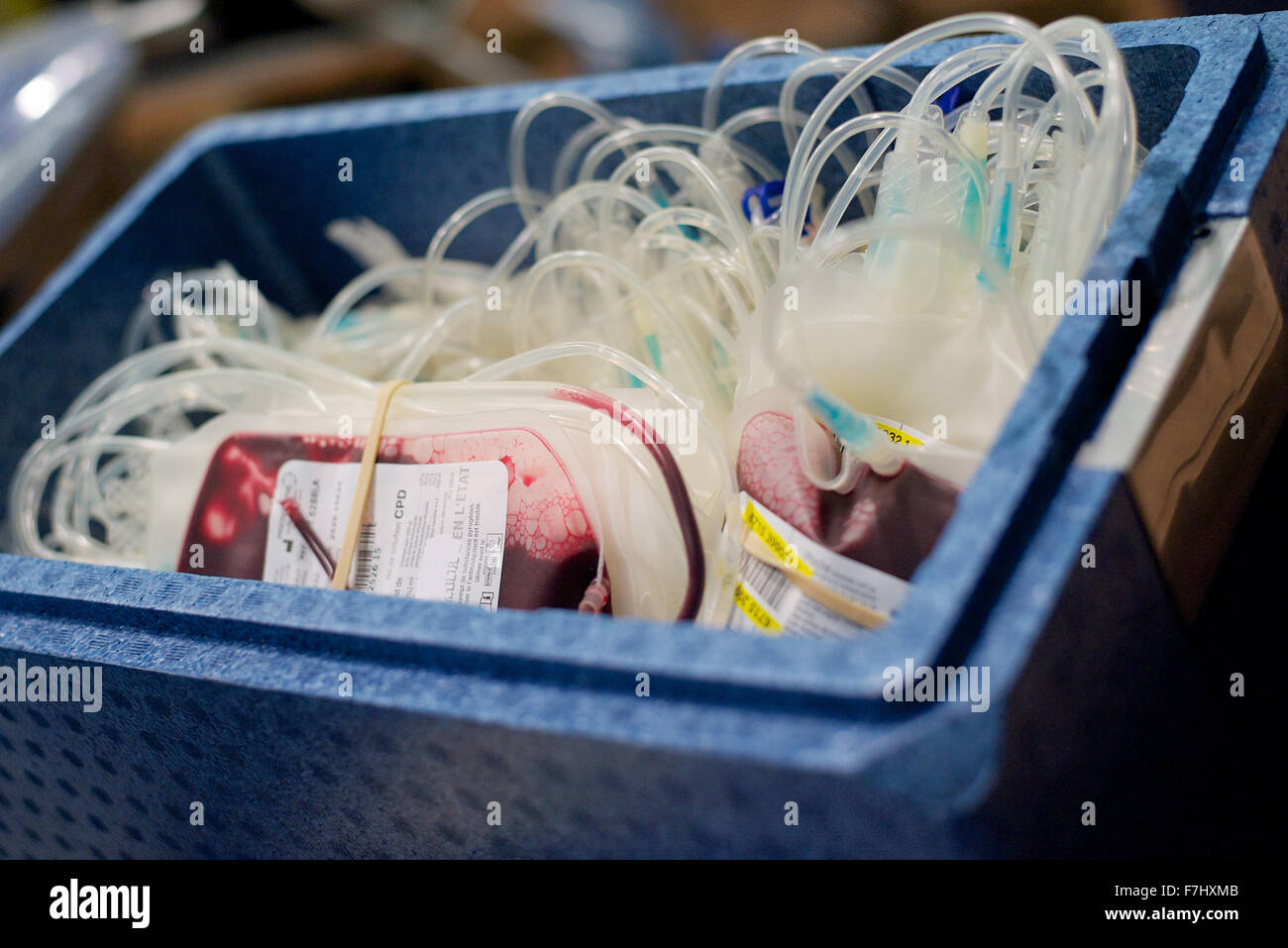 Sacche di sangue in bin Foto Stock