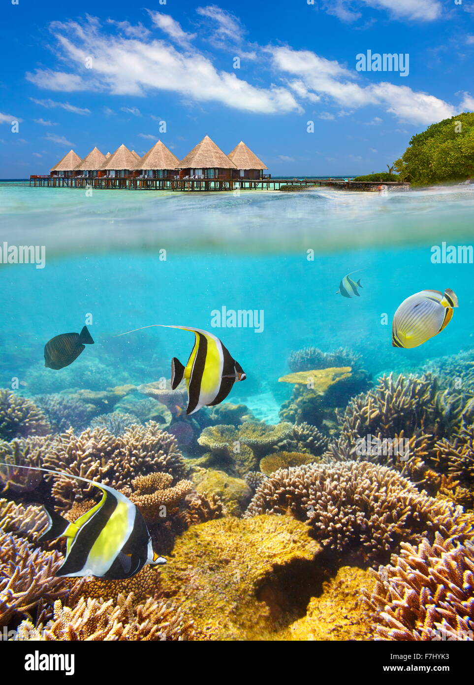 Scenario tropicale a isole delle Maldive, atollo di Ari Foto Stock