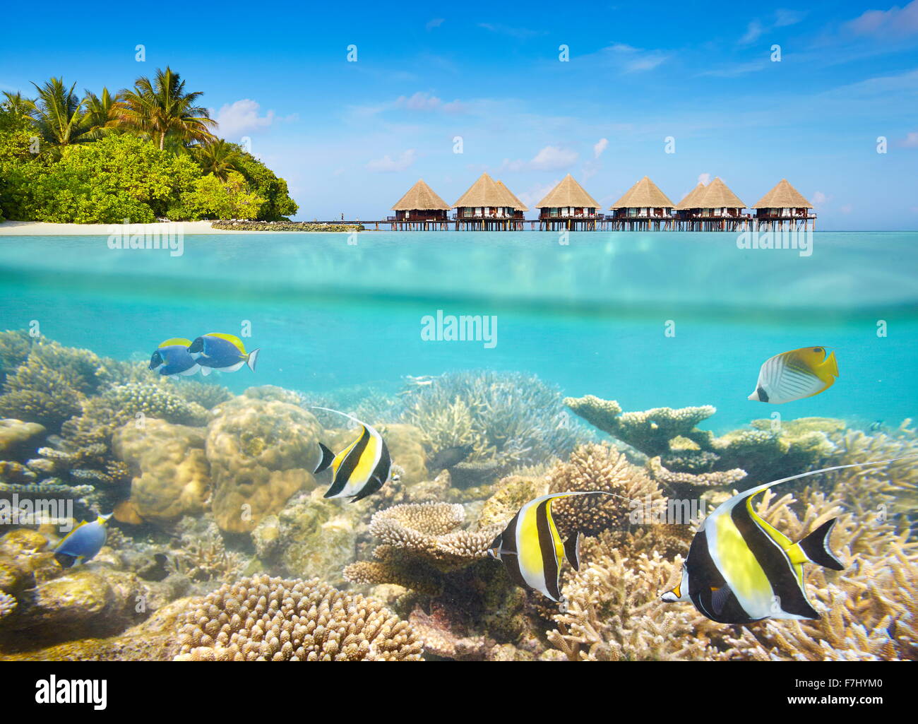 Tropical paesaggio subacqueo a Maledives Isola Foto Stock