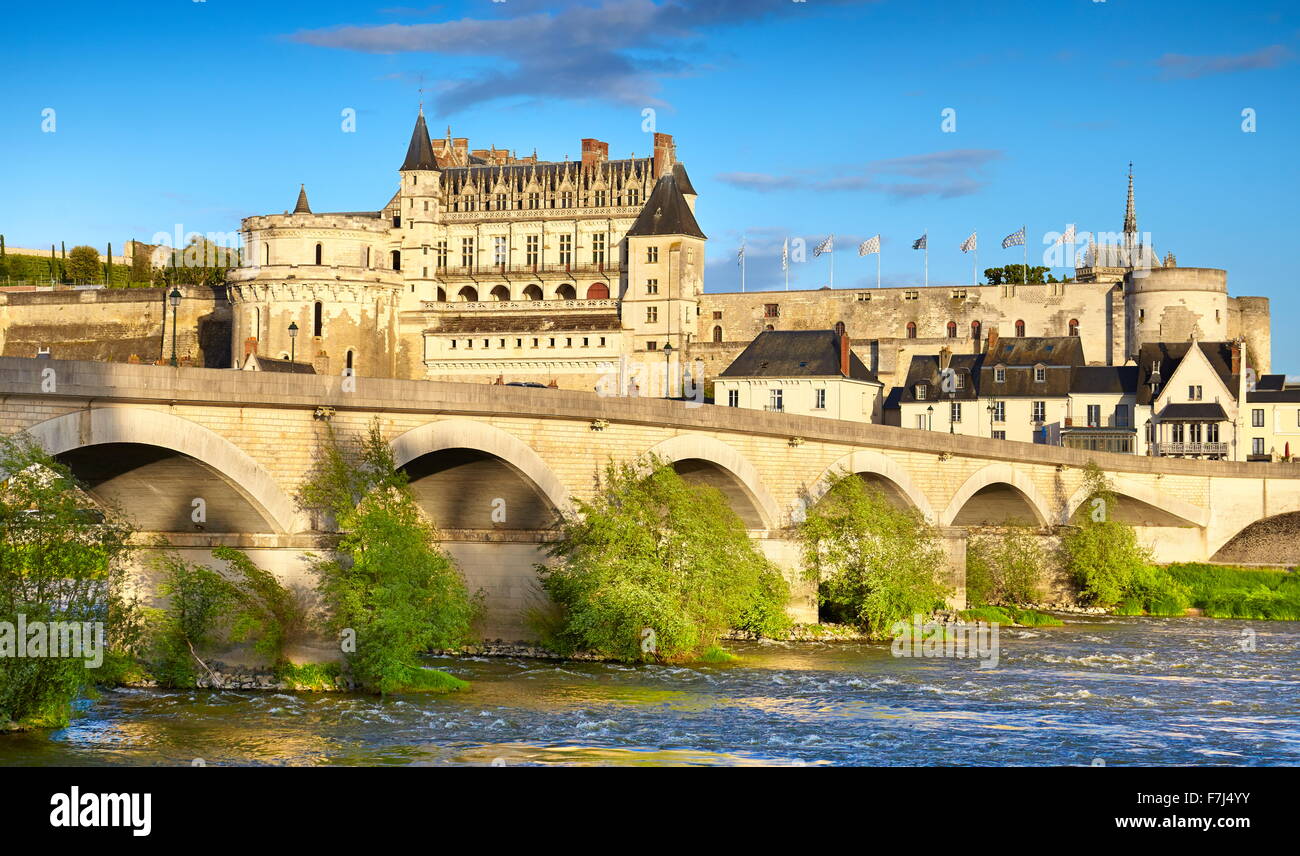 Castello di Amboise, valle della Loira, Francia Foto Stock
