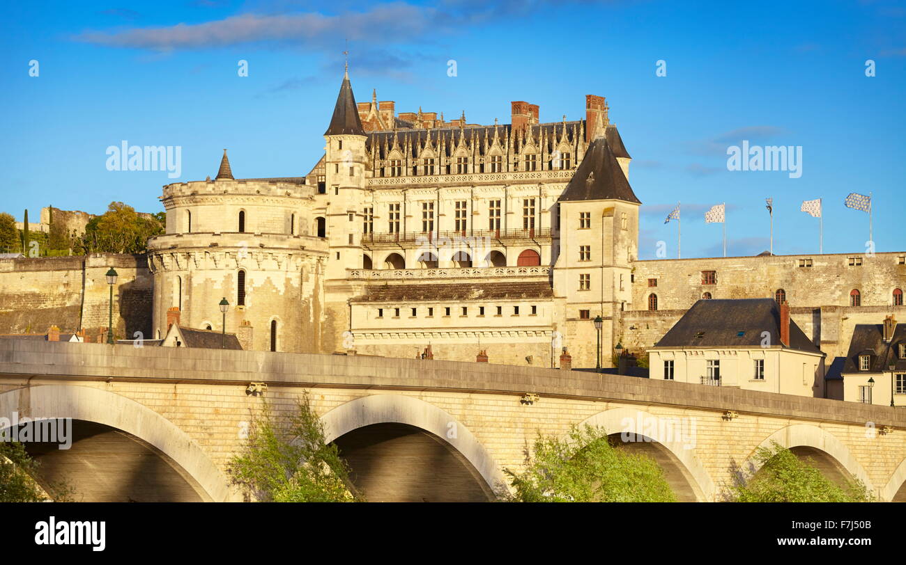 Castello di Amboise, valle della Loira, Francia Foto Stock