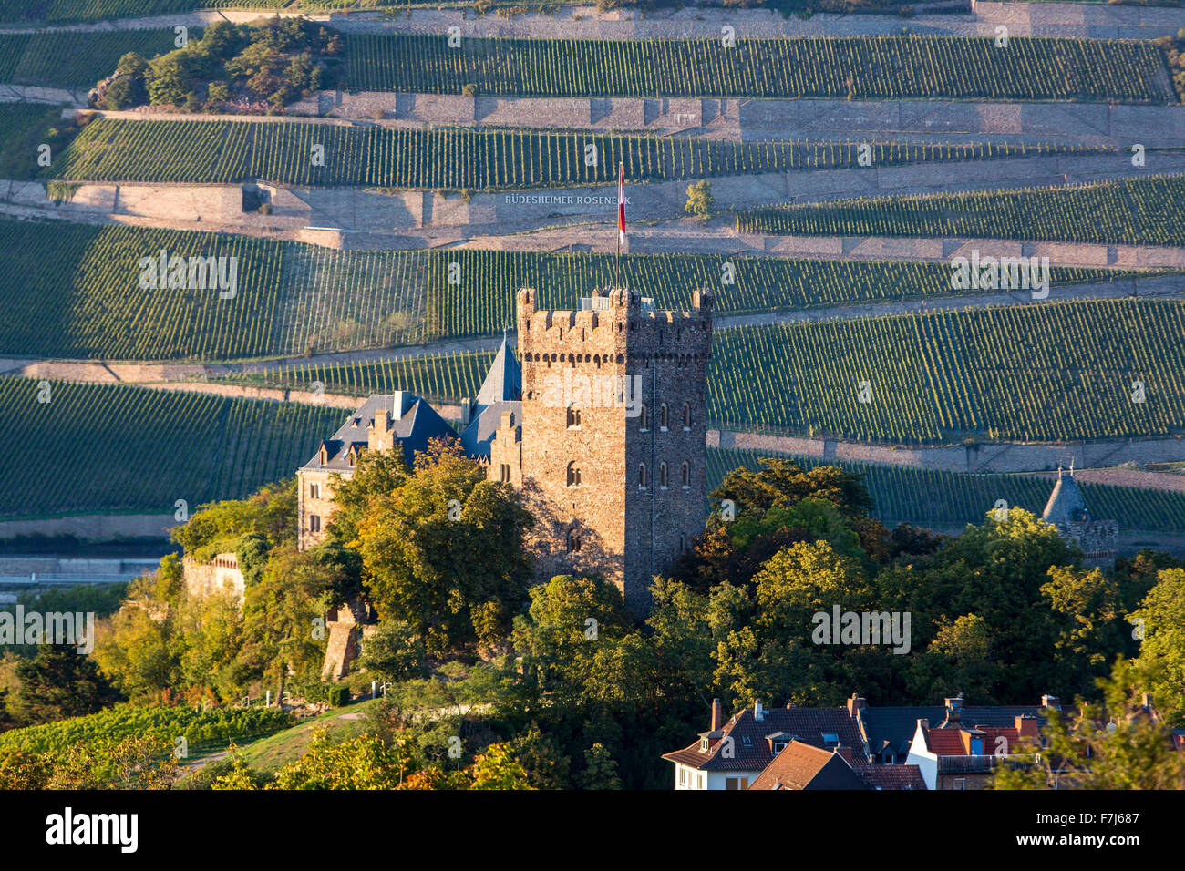 Città di Bingen, valle del Reno superiore e centrale, Germania, Castello di Klopp, Foto Stock