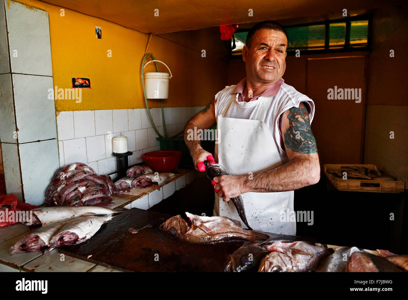 Nel porto di pesca di Antofagasta, il pesce appena pescato vengono decomposti dai venditori e offerti in vendita. Foto Stock