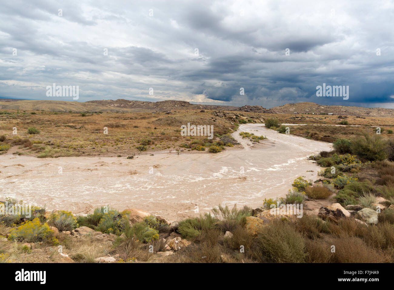 Monezuma Creek in flood, Navajo Nation, Utah. Foto Stock