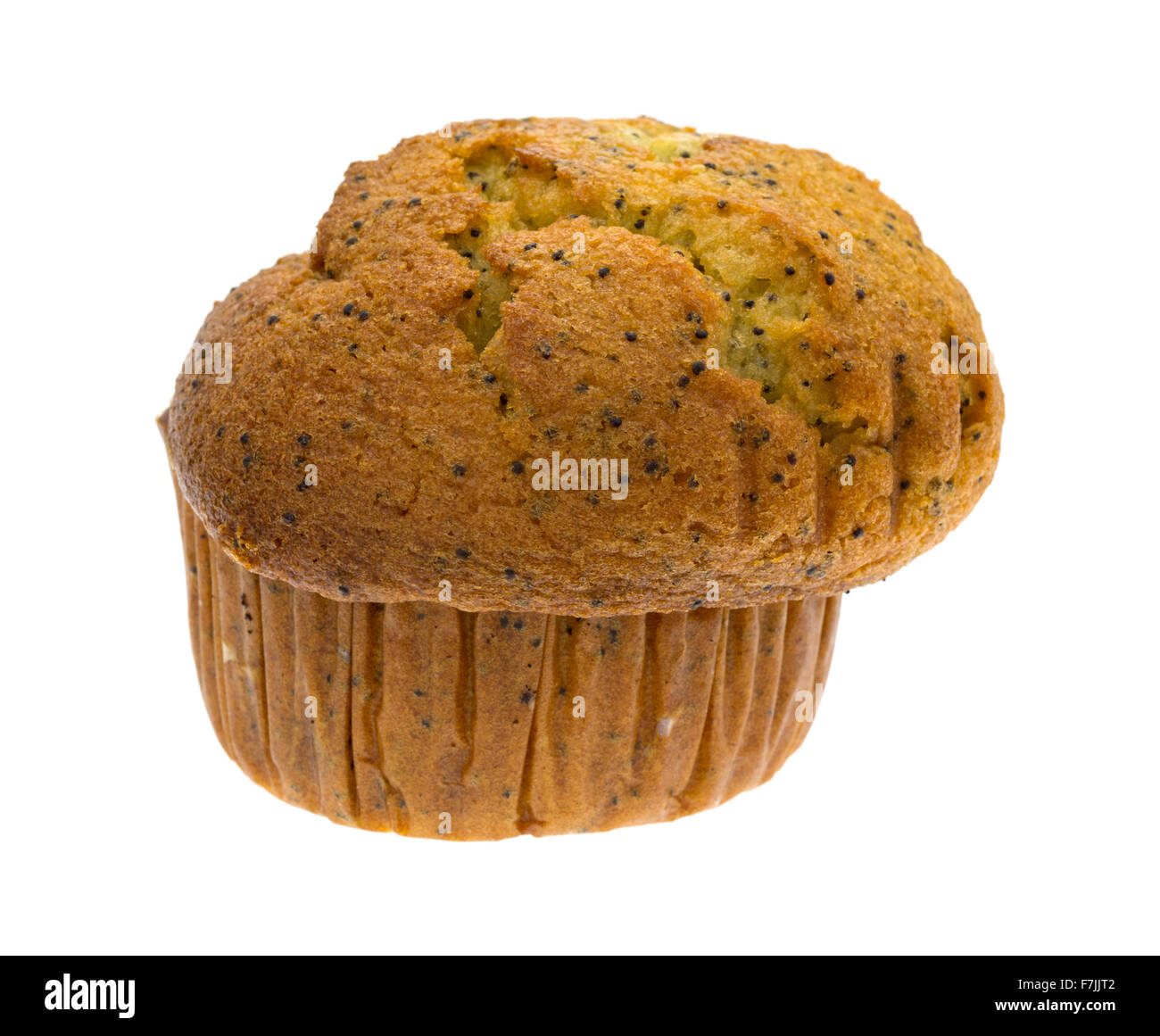 Un pane appena sfornato di pepe al limone muffin colazione isolato su uno sfondo bianco. Foto Stock