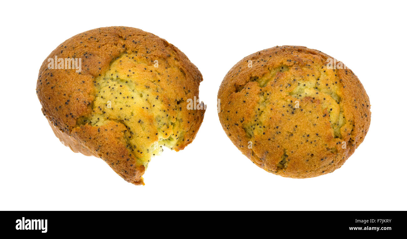 Una coppia di pane appena sfornato di pepe al limone colazione muffin con uno leggermente deformata isolato su uno sfondo bianco. Foto Stock
