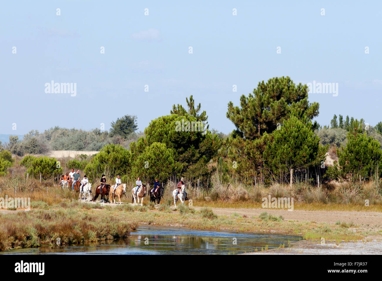 Piacevole passeggiata sulla spiaggia Espiguette, Le Grau du Roi, Languedoc-Roussillon, Francia Foto Stock