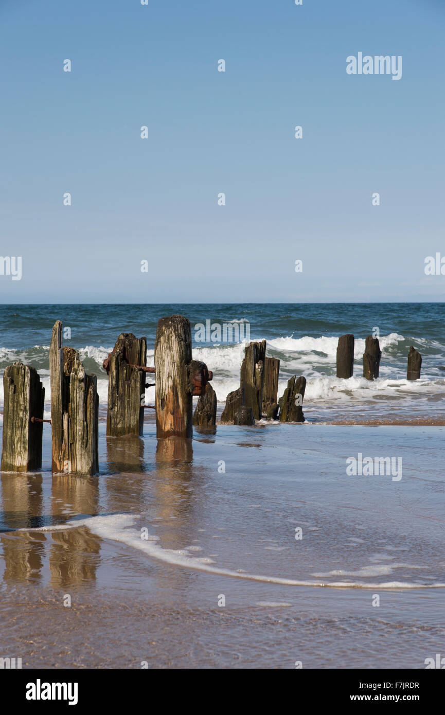 Summer sun & blue sky. Mare onde del giro la battigia mentre vecchi pennelli di legno sono riflessi nell'acqua. Sandsend spiaggia costa dello Yorkshire, Inghilterra, Regno Unito. Foto Stock