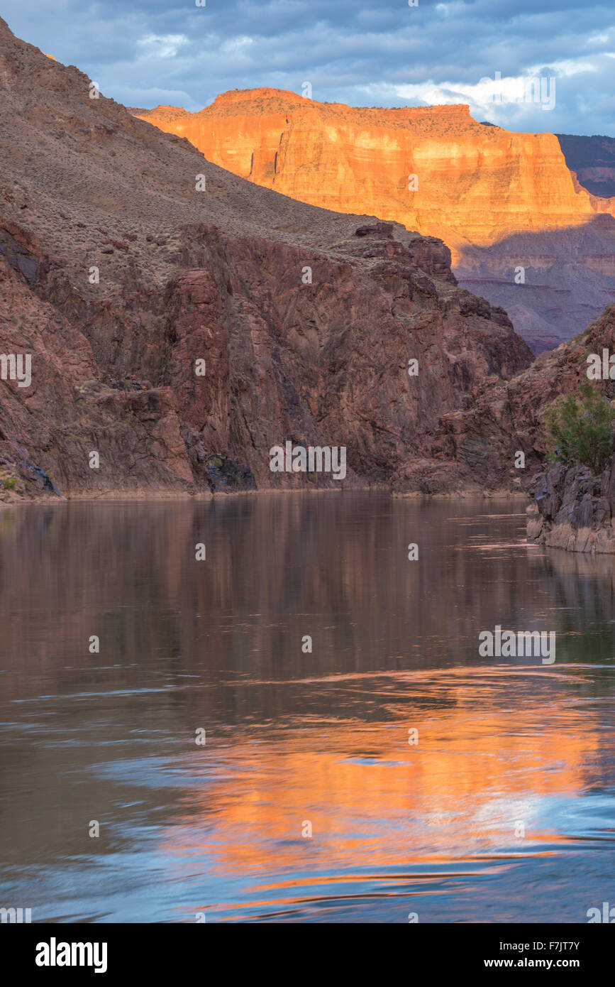Fiume riflessioni a medio Granite Gorge, il Parco Nazionale del Grand Canyon, Arizona Foto Stock