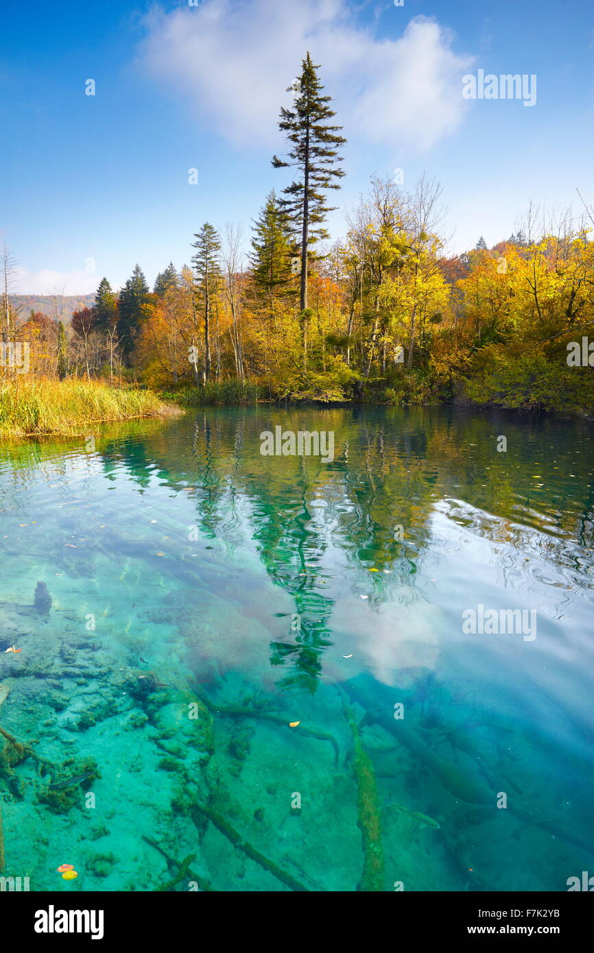 Il Parco Nazionale dei Laghi di Plitvice, Croazia, Europa Foto Stock