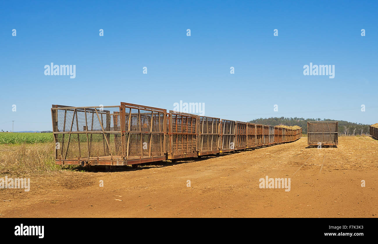 Australian rurale scena campagna con la canna da zucchero carrozze ferroviarie su una piantagione di canna da zucchero Foto Stock