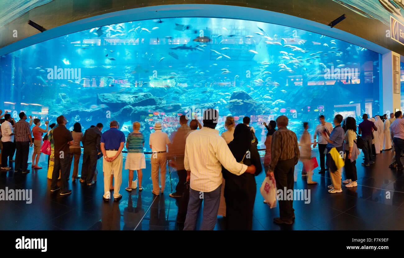 Il centro commerciale di Dubai Aquarium, Dubai, Emirati Arabi Uniti, Medio Oriente Foto Stock