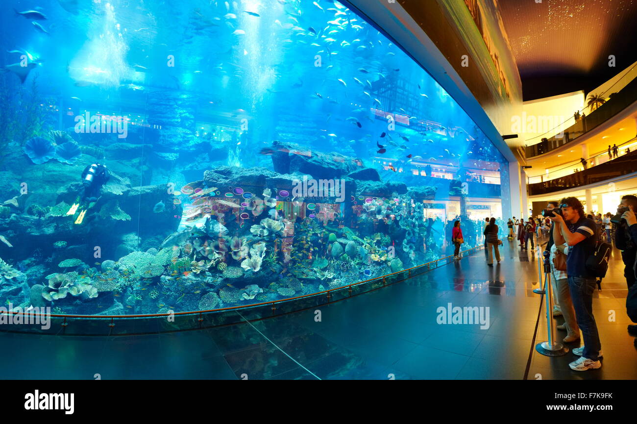 Il centro commerciale di Dubai Aquarium, Dubai, Emirati Arabi Uniti, Medio Oriente Foto Stock