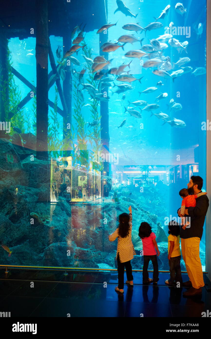 Il centro commerciale di Dubai Aquarium, Dubai, Emirati Arabi Uniti, Medio Oriente Foto Stock