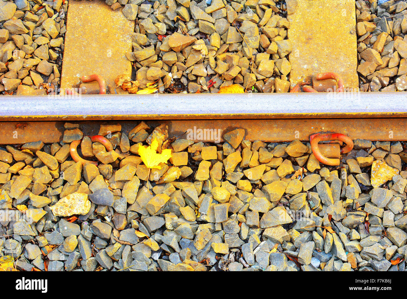 Foglie di autunno con la ferrovia metropolitana via North Shields Foto Stock