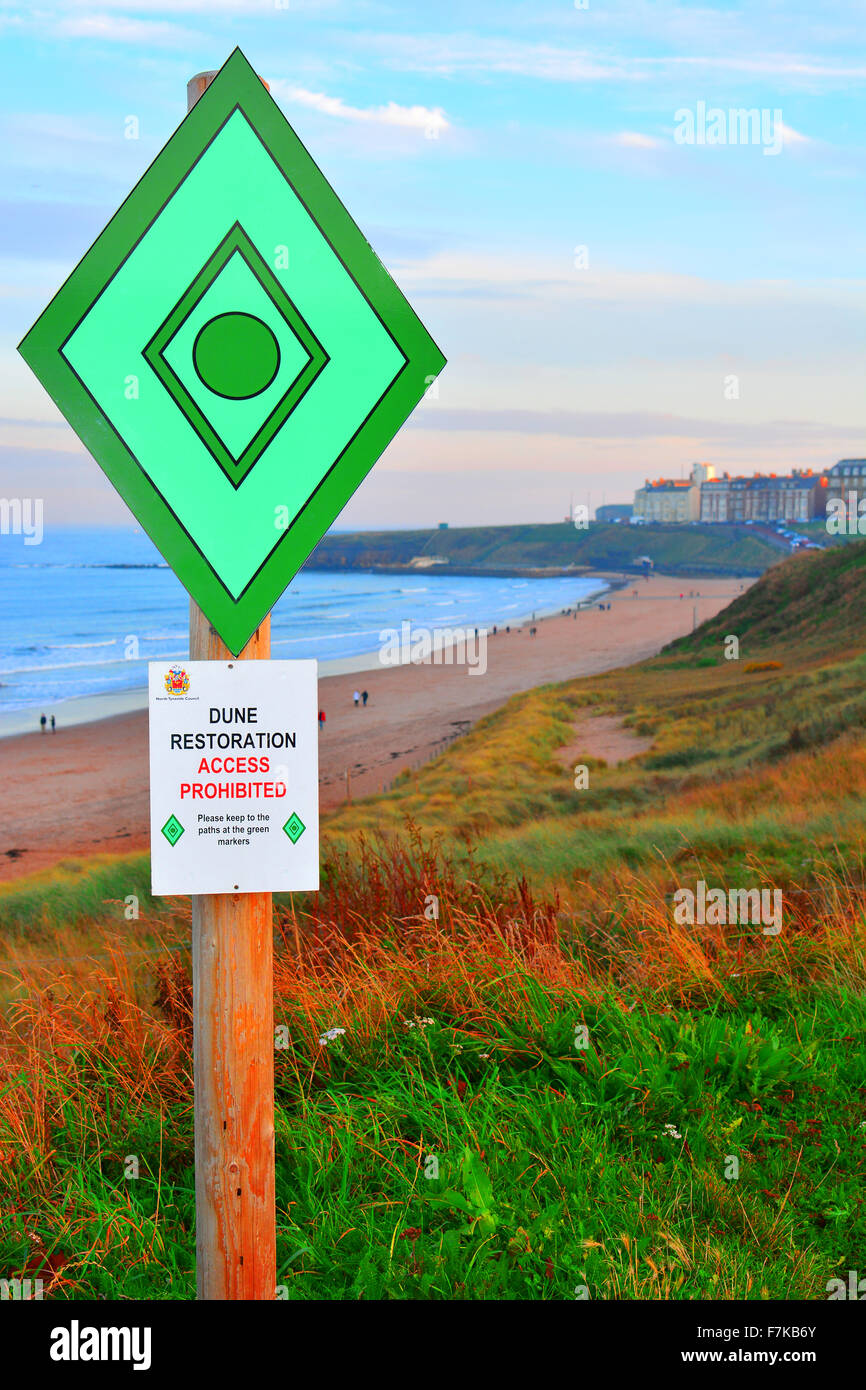 Duna Costiera verde segno di restauro di Tynemouth Foto Stock