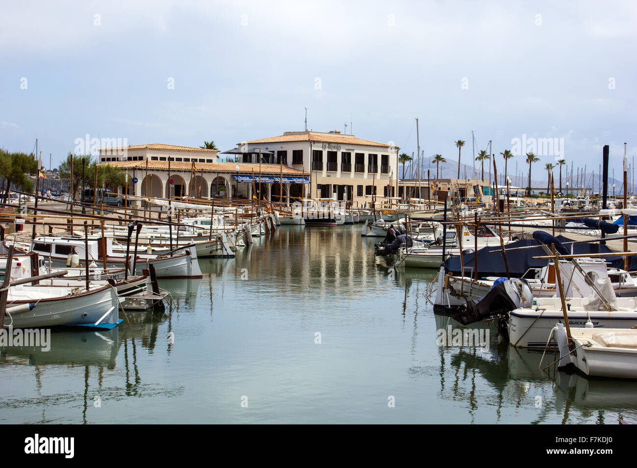 Port de Pollenca porto pieno di barche Foto Stock