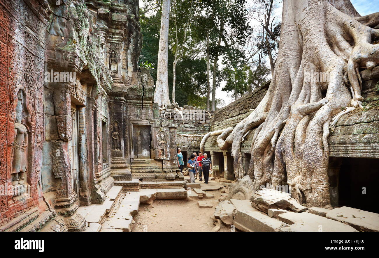 Le radici di un albero gigante overgrowing rovine del Ta Prohm tempio di Angkor, Cambogia, Asia Foto Stock