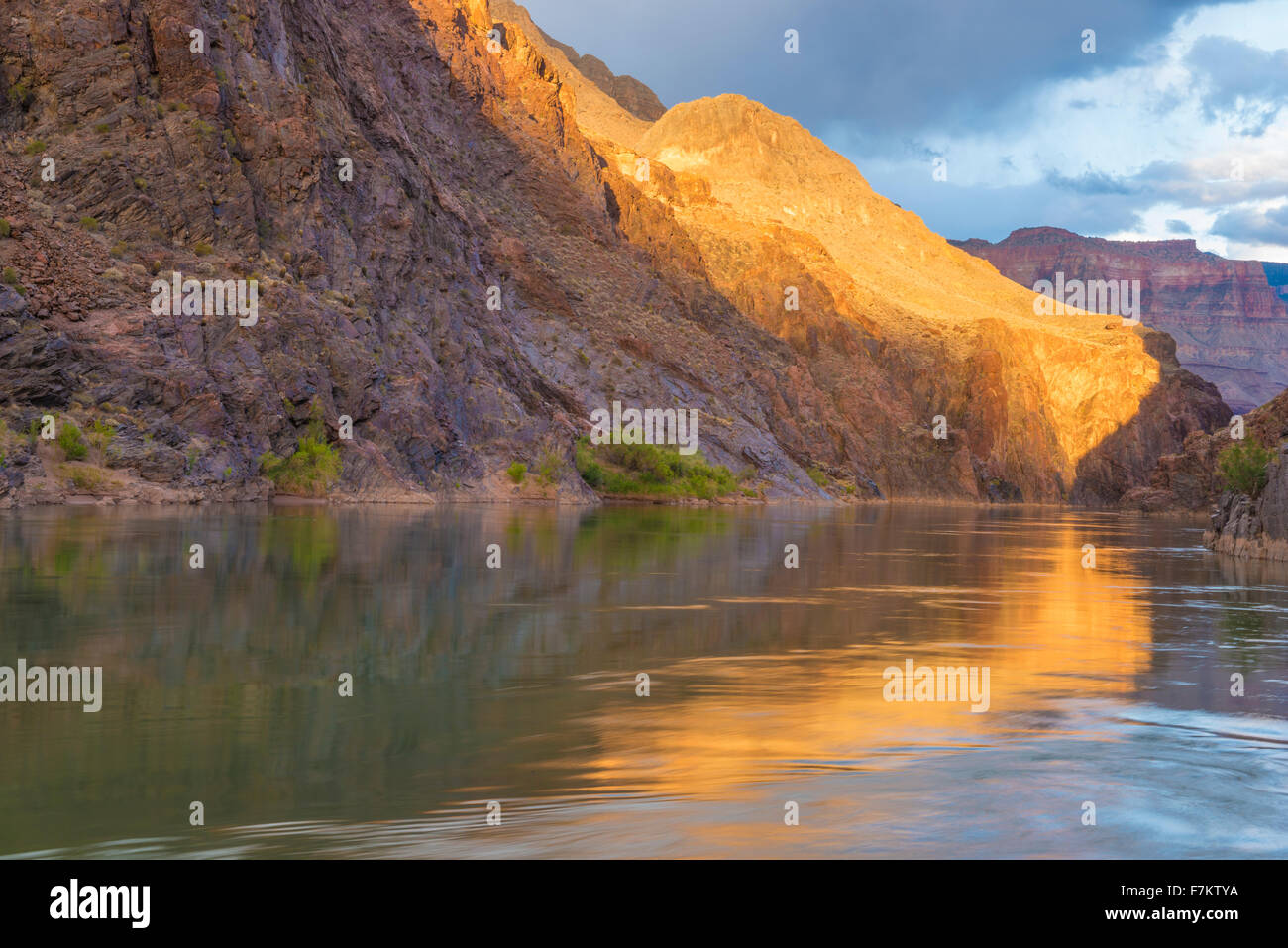 Fiume riflessioni a medio Granite Gorge, il Parco Nazionale del Grand Canyon, Arizona Foto Stock