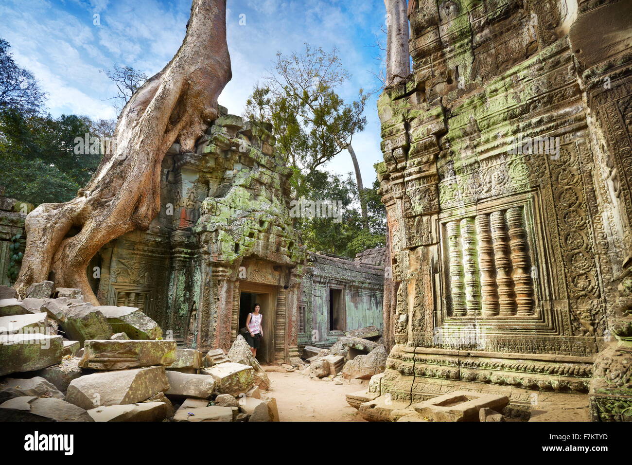 Ta Prohm tempio di Angkor, Cambogia, Asia Foto Stock
