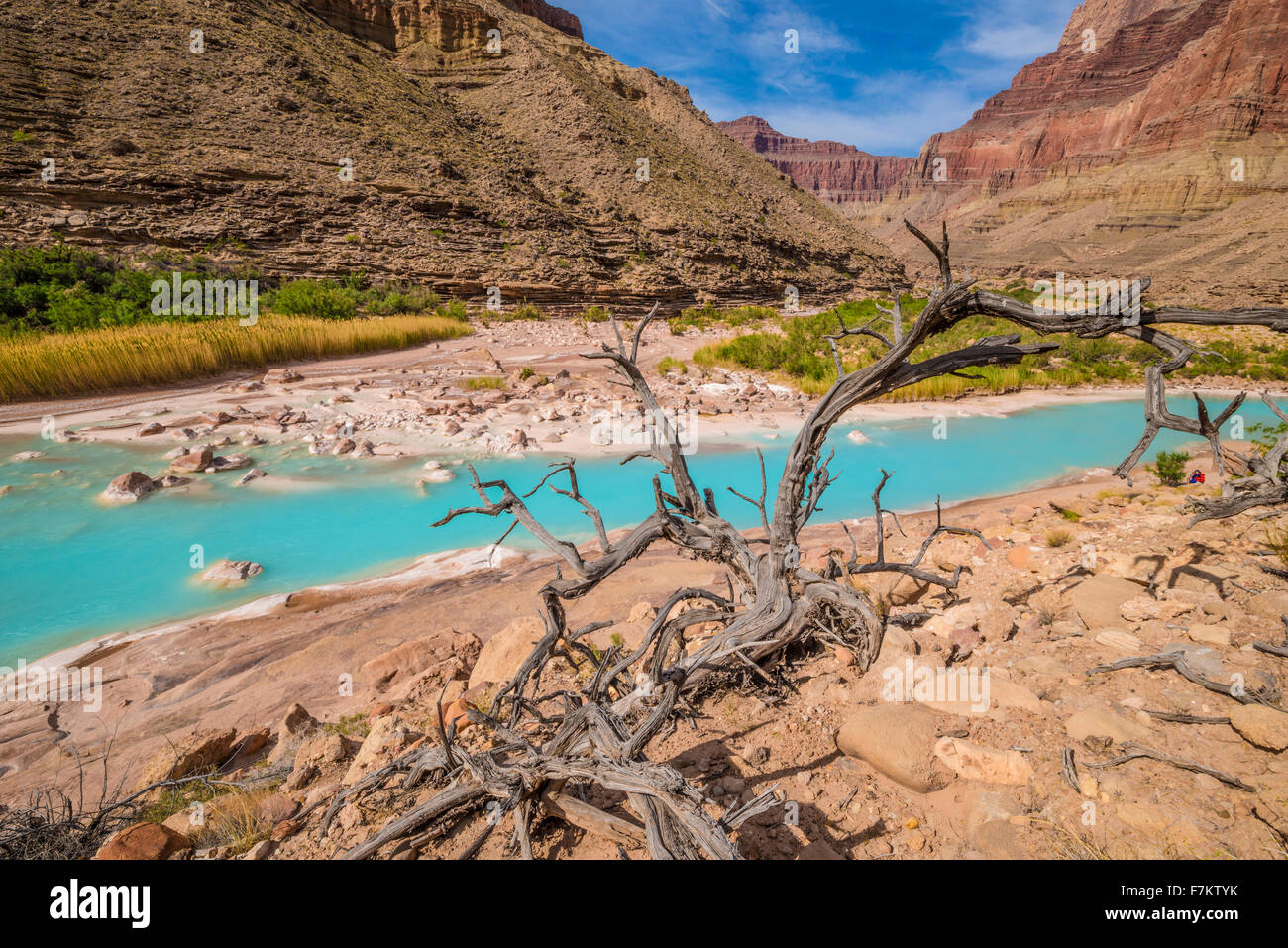 Acque blu del piccolo fiume Colorado nel Parco Nazionale del Grand Canyon, Arizona, nei pressi del Fiume Colorado, colore blu dal carbonio calciem Foto Stock