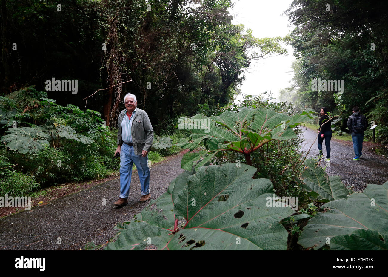 Poa, Costa Rica. 30 Novembre, 2015. Turisti visitano il cloud tropicale della foresta nel Parco Nazionale del Vulcano Poas, provincia di Alajuela, 45km a nord-ovest di San Jose, la capitale della Costa Rica, su nov. 30, 2015. Il Parco Nazionale del Vulcano Poas, fondata il 25 gennaio 1971, è il più antico e più visitato dai turisti di parcheggiare nel paese. © Kent Gilbert/Xinhua/Alamy Live News Foto Stock