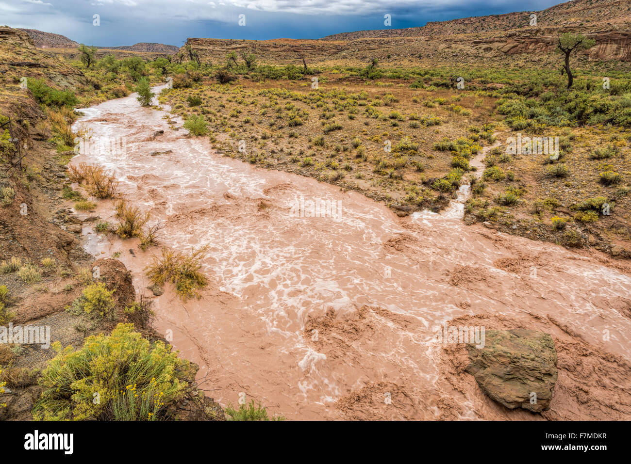 Riconquista lavare in flood, Southern Utah. Foto Stock