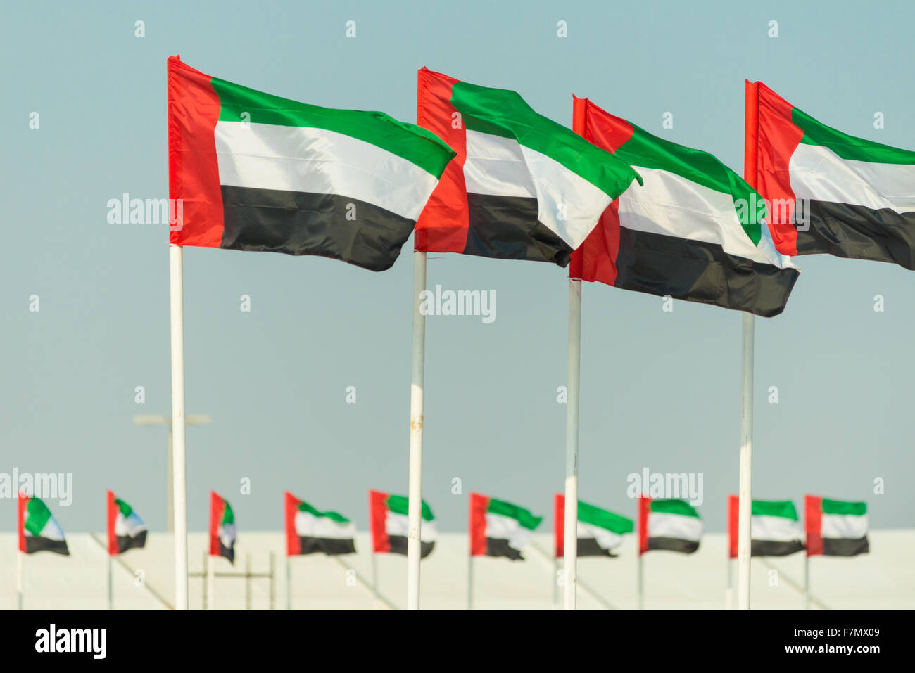 Bandiere degli Emirati Arabi Uniti battenti dai pali in righe Foto Stock