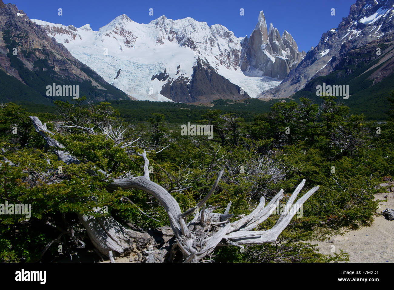 Cerro Torre e picchi vicini,parco nazionale Los Glaciares, Patagonia, Argentina Foto Stock