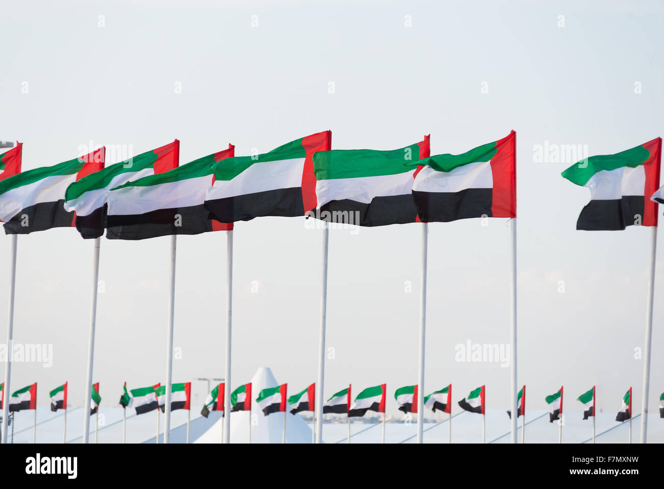 Bandiere degli Emirati Arabi Uniti in volo da poli Foto Stock