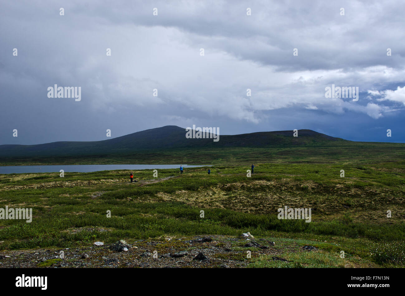 Gli escursionisti in tundra lungo la Denali Highway vicino al fiume McLaren, con l'Alaska Range, Alaska Foto Stock