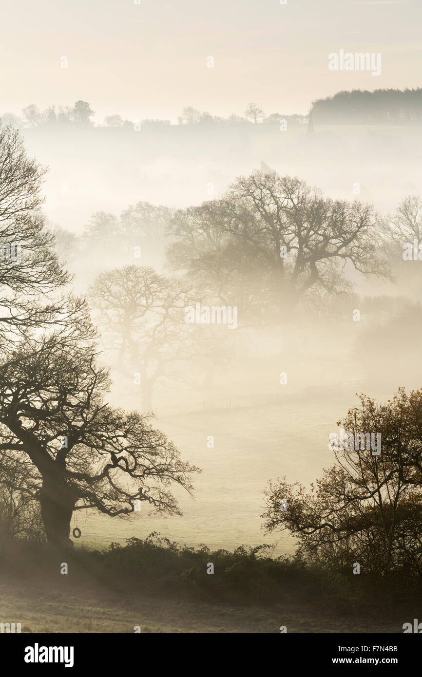 Sunrise over Welburn villaggio sul Castle Howard Estate in North Yorkshire, novembre 2015. Foto Stock