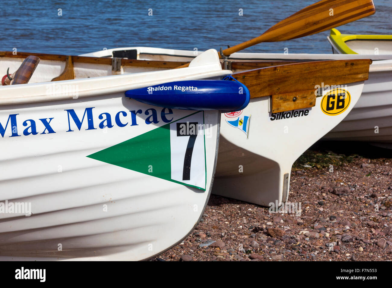 Close-up di Spiaggiata imbarcazioni a remi pronto per la gara a concorrenti Shaldon regata. Foto Stock