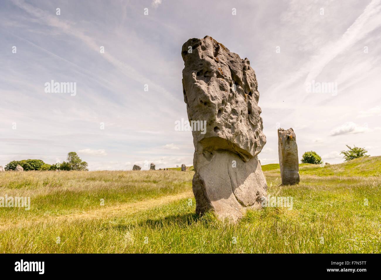 Grandi pietre antiche in un campo in estate Foto Stock