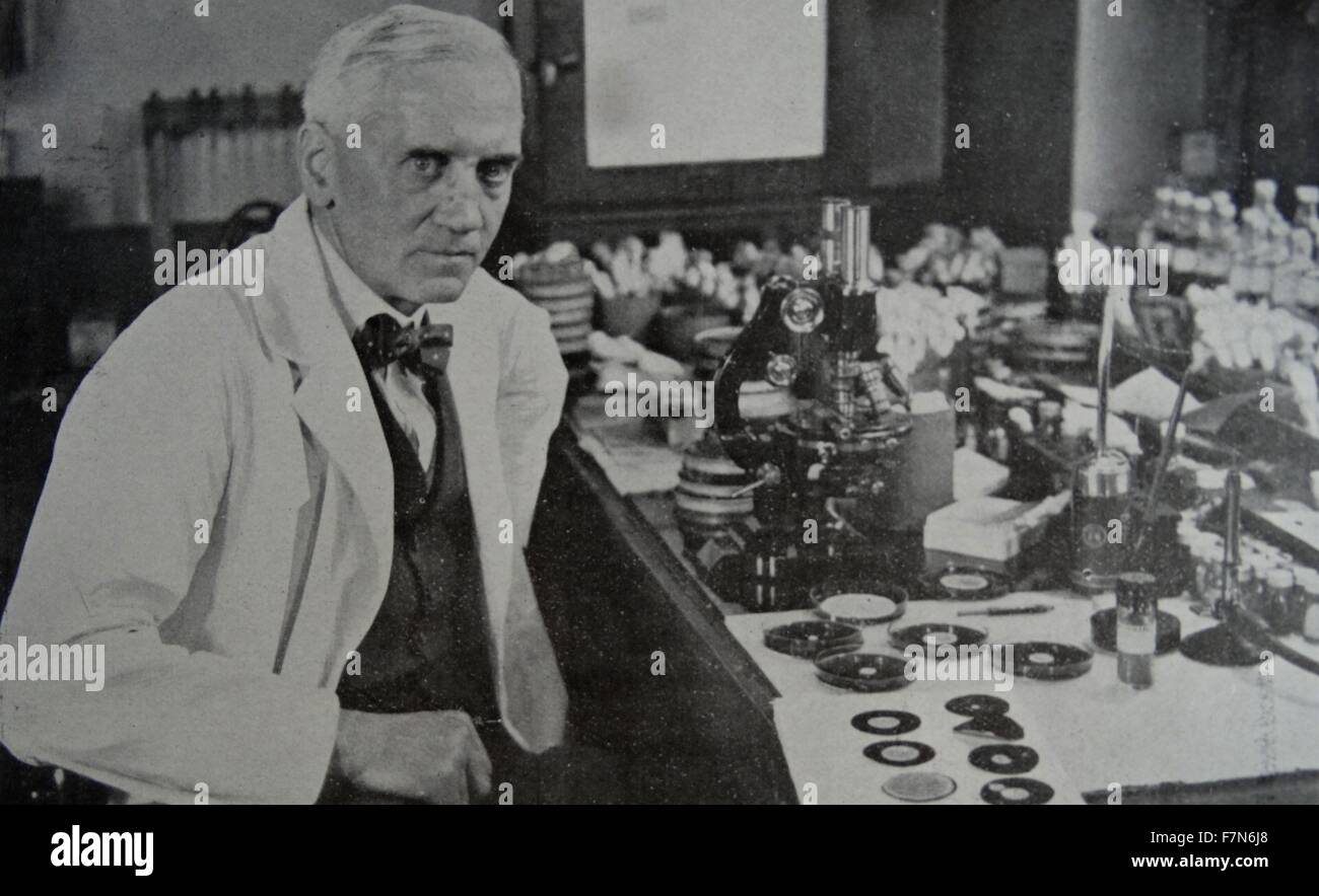 Sir Alexander Fleming (1881-1955) che ha scoperto la penicillina, al lavoro nel suo laboratorio in St. Mary's Hospital, Paddington, Londra. Foto Stock