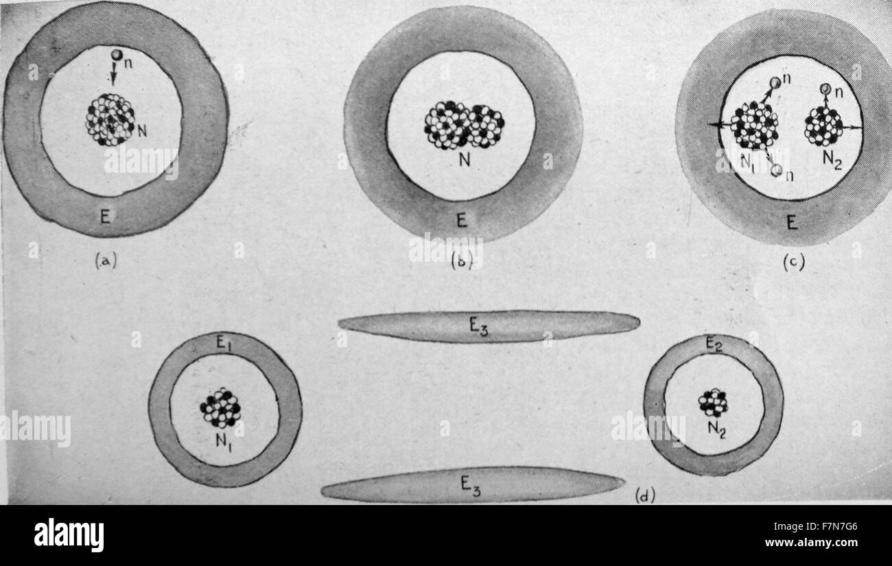 Gli atomi sono simili a piccoli sistemi solari con electron "pianeti" rotondo girevole di protoni e neutroni. (A) idrogeno è il più semplice con un protone e di un elettrone. (B) idrogeno pesante o deuterio ha un neutrone come bene. (C) il carbonio ha 6 elettroni, 6 protoni e 4 neutroni. 1950 Foto Stock