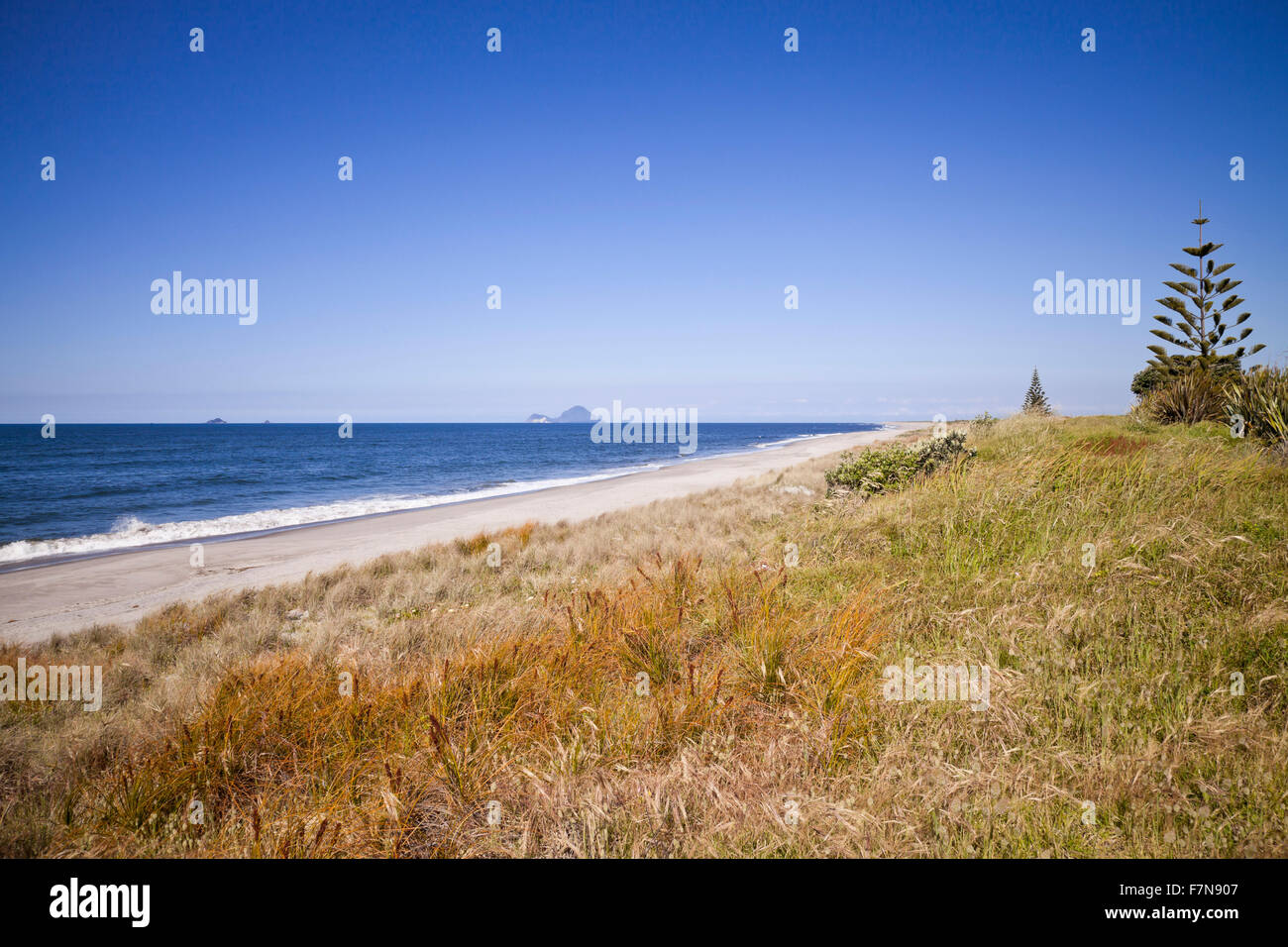 Spiaggia di sabbia bianca, Papamoa, Baia di Planty, Nuova Zelanda Foto Stock