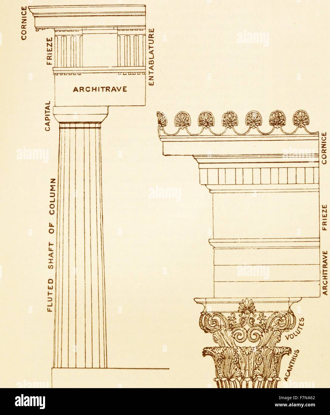 Illustrazione di un libro che raffigura una colonna dorico divisa ed etichettati datata 1913 Foto Stock